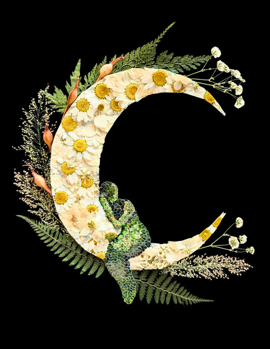 Four of Pentacles