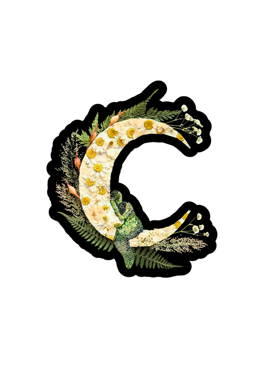 Four of Pentacles Sticker